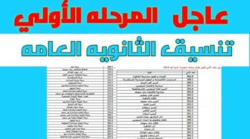 من هنا لينك مباشر. نتيجة تنسيق الثانوية العامة المرحلة الأولى للجامعات والمعاهد للعام الدراسي 2024