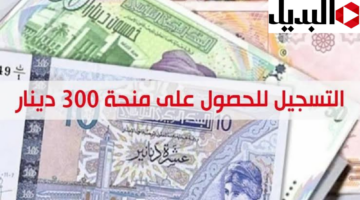 منحة 300 دينار تونسي