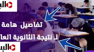 نتيجة الثانوية العامة مصر 2024