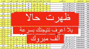 نتيجتك بضغطة زر. نتيجة السادس الإبتدائي العراقي الدور الثاني بابل ونينوي والبصرة والكرخ وجميع محافظات العراق 2024 1