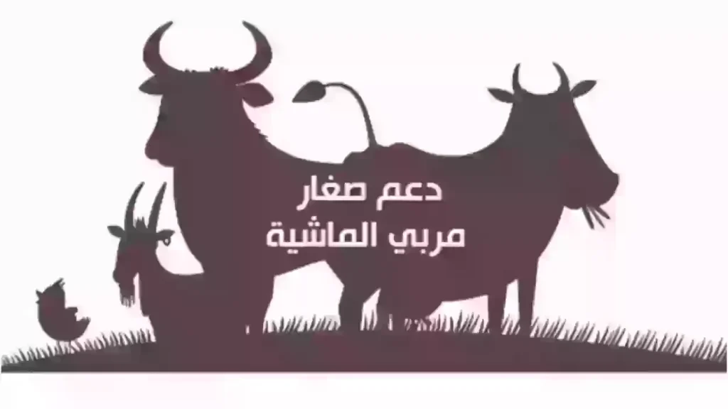 شروط التسجيل في دعم صغار مربي الماشية