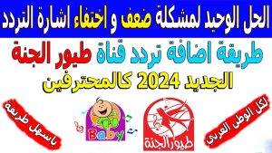 تردد قناة طيور بيبي الجديد 2024