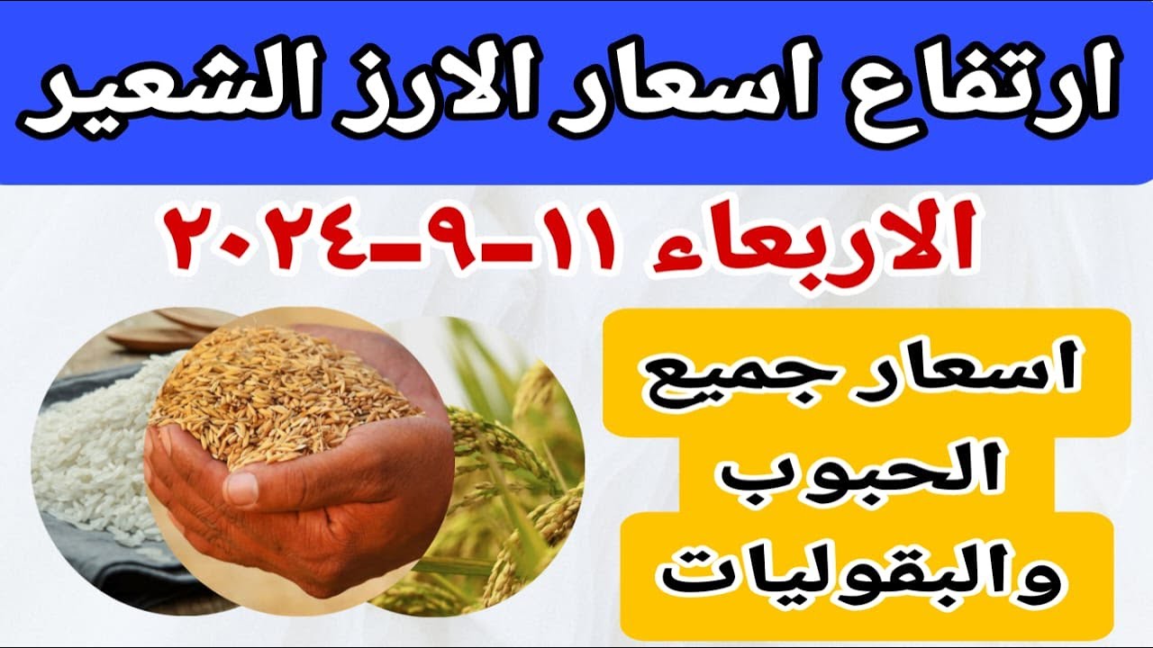 خراب البيت وصل مستعجل.. ارتفاع سعر طن الأرز الشعير اليوم الأربعاء 11 سبتمبر بجميع أنواعه.. إليك الأسعار