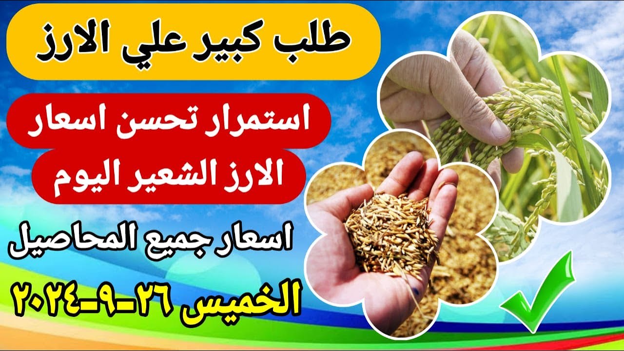 المواطن المصري بين نار وغلاء الأسعار.. سعر طن الأرز الشعير اليوم الخميس 26 سبتمبر 2024