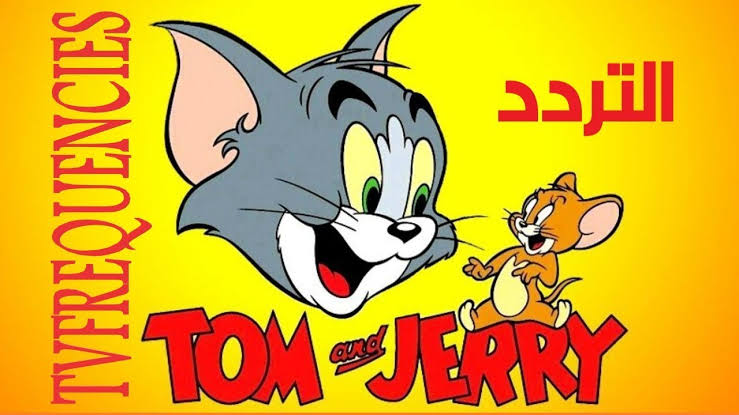 مغامرات القط والفار.. تردد قناة توم وجيري 2024 Tom And Jerry على النايل سات.. مفيش عياط وزن تاني