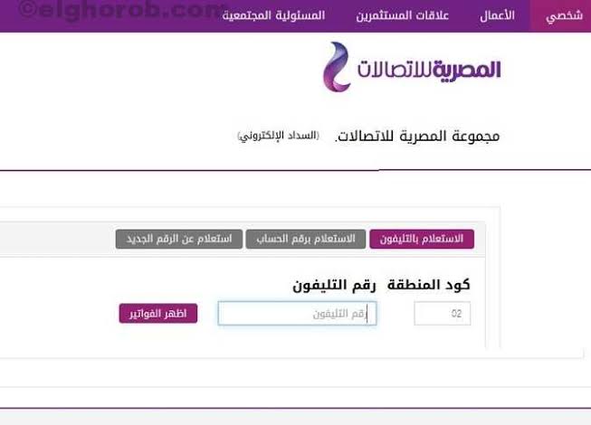 ألحق أدفعها قبل الغرامة.. الاستعلام عن فاتورة الهاتف الأرضي 2024 وطرق السداد الآمنة