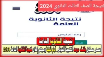 استعلم برقم الجلوس موعد نتيجة الثانوية العامة الدور الثاني ورابط وخطوات الحصول عليها بضغطة زر 2024