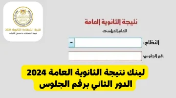 الآن رابط مباشر. نتائج الثانوية العامة الدور الثاني بجميع محافظات مصر وزارة التربية والتعليم 2024