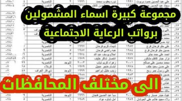 الاستعلام عن اسماء المشمولين بالرعاية الاجتماعية الوجبة الأخيرة