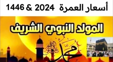 تبدأ من 27 ألف بس أسعار عمرة المولد النبوي 2024 باقات كتير اختار اللي يناسبك كل ما تحتاج معرفته