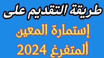 خطوات التسجيل في استمارة التقديم على المعين