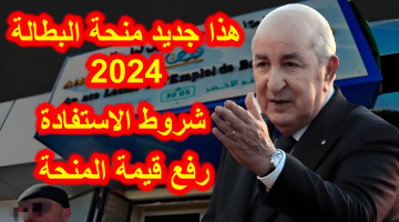 رابط تسجيل منحة البطالة الجزائر 2024 1