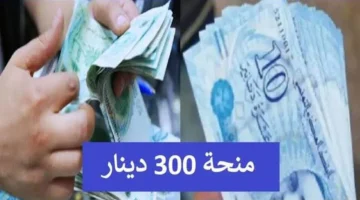 شروط التسجيل في منحة ال300 دينار 1