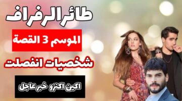 لعشاق الدراما التركية. موعد عرض طائر الرفراف 3 وتردد القنوات الناقلة للموسم الثالث 2024 1