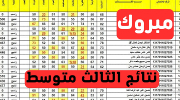 لينك نتائج الثالث المتوسط الدور الثاني عبر نتائجنا