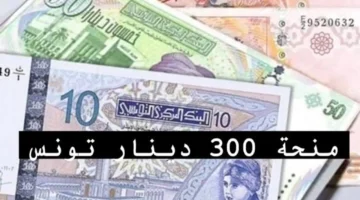 منحة 300 دينار تونس 2024