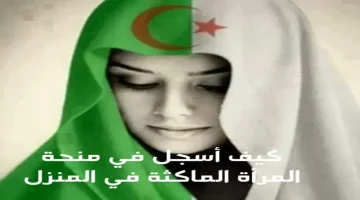 منحة المرأة الماكثة في البيت 768x570 1