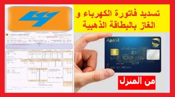 وزارة اتصالات الجزائر. خطوات تسديد فاتورة الكهرباء والغاز بالبطاقة الذهبية 2024. وانت في دارك