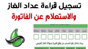 الاستعلام عن فاتورة الغاز لشهر أكتوبر 2024