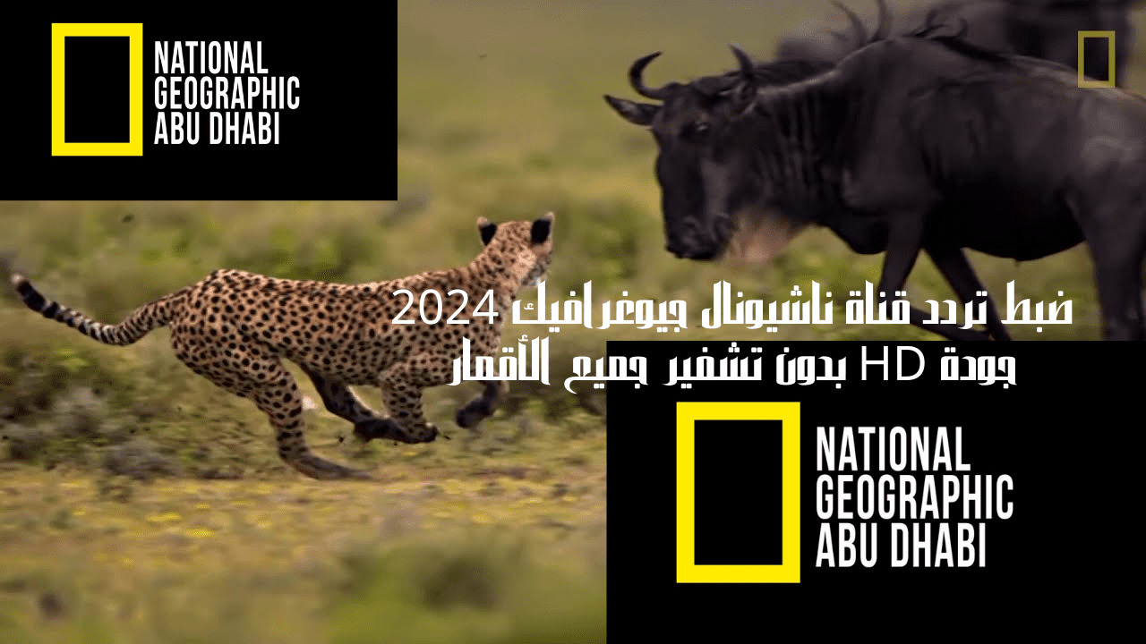 تثبيت تردد قناة ناشيونال جيوغرافيك على جميع الأقمار 2024 National Geographic