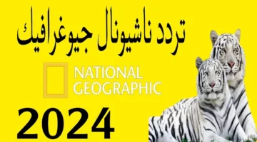 تردد قناة ناشيونال جيوغرافيك نايل سات 2024 jpg