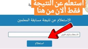 تفعيــل الآنــ رابط نتيجة مسابقة المعلمين خــلال بوابة الوظائف الحكومية 2024 عبر jobs.caoa .gov .eg استعلم عن اسمك