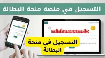 رابط تجديد منحة البطالة 2023 1