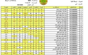 بعد صدورها.. كيفية الاستعلام عن نتائج الثالث المتوسط الدور الثالث في العراق 2024