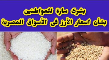 سعر طن الأرز الشعير اليوم 1