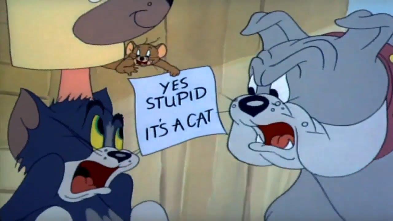 كوميديا مطاردات القط والفار.. تردد قناة توم وجيري الجديد  tom AND jerry على قمر النايل سات والعرب سات 2024