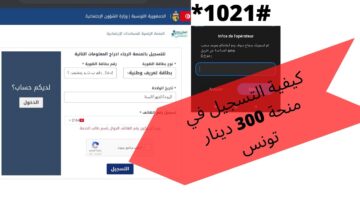 منحة 300 دينار تونس 2024