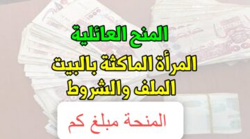 وزارة العمل والتشغيل توضح كم مبلغ منحة المرأة الماكثة في البيت 2024 ورابط التسجيل عبر www.anem .dz