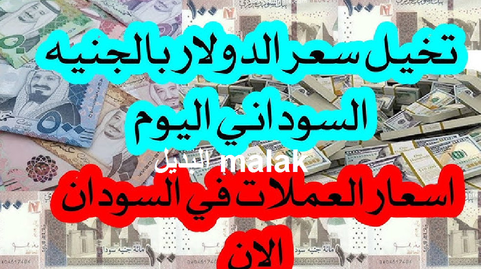 تراجع ملحوظ.. سعر الجنيه السوداني مقابل الدولار اليوم الأربعاء 13 نوفمبر 2024