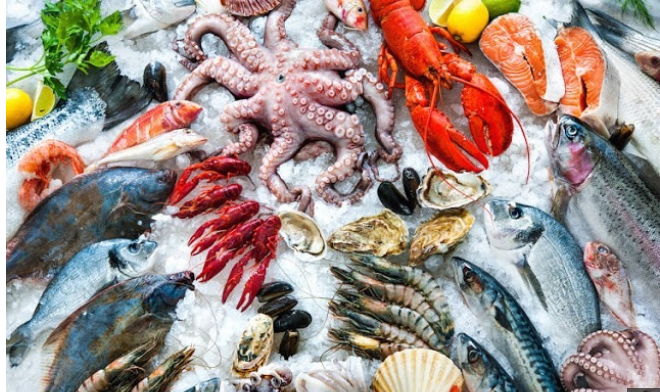 سعر السمك سعر السمك