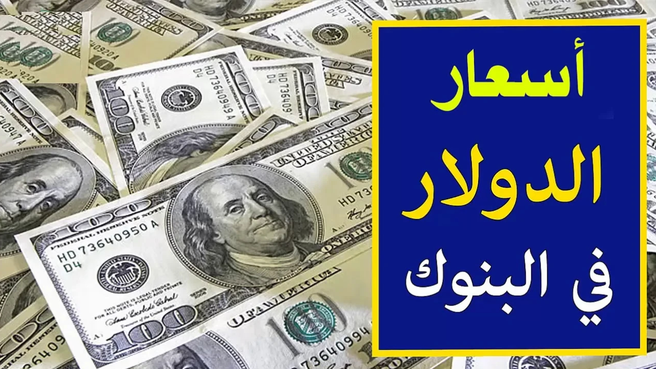 تحديثات هامة .. سعر الدولار اليوم في البنوك المصرية