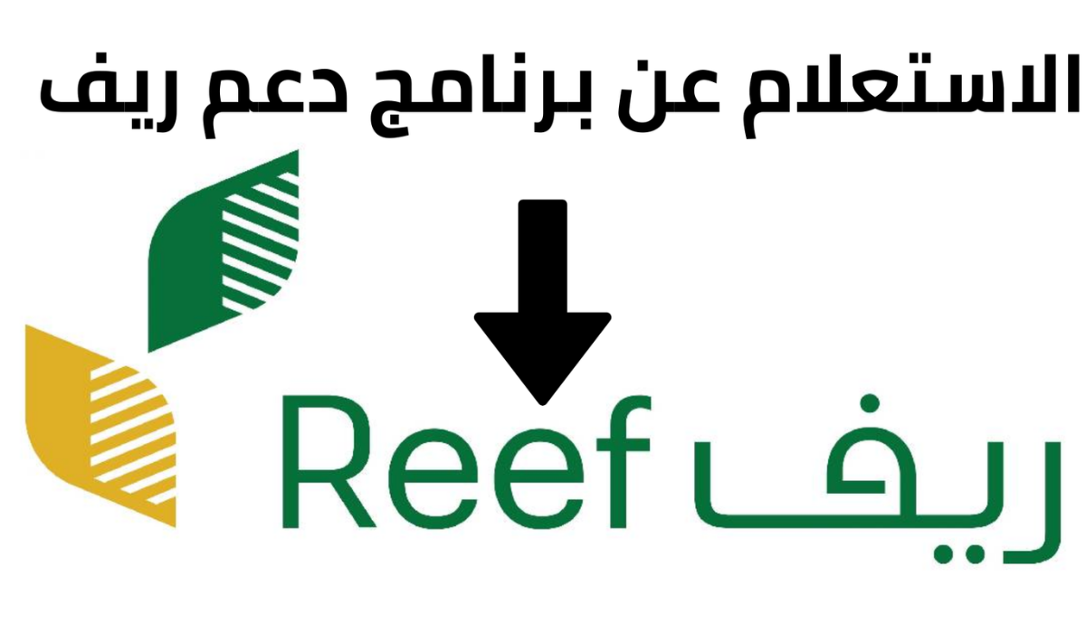 استعلم عن راتبك الشهري .. خطوات الاستعلام عن دعم الريف 1446 “reef.gov.sa”