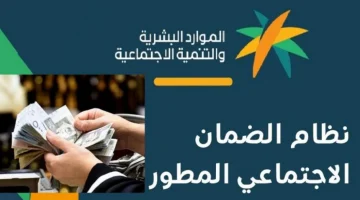 الفئات المستبعدة من الضمان الاجتماعي 1