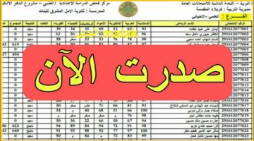 رابط استعلام نتائج السادس الاعدادي الدور الثالث 2024