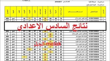 رابط نتائج السادس الإعدادي الدور الثالث 2024