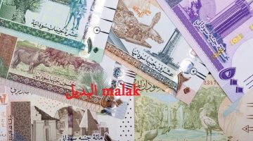 سعر الجنيه السوداني مقابل الجنيه المصري اليوم