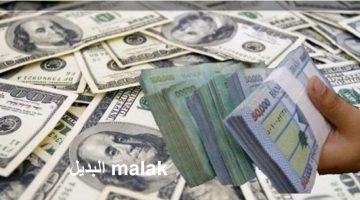 سعر الدولار مقابل الجنيه المصري اليوم