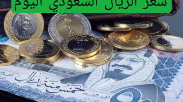 سعر الريال السعودي اليوم الأربعاء 12 نوفمبر 2024 جميع البنوك المصرية