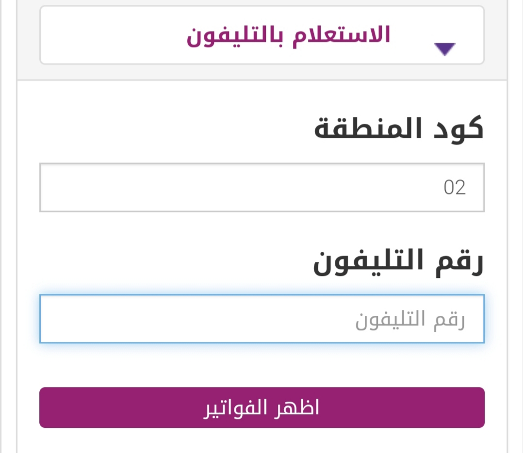 ادفعها أون لاين دلوقتي بكل سهولة ووفر أكثر من 10% .. الاستعلام عن فاتورة التليفون الارضي 2024