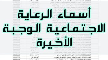 كشوفات الرعاية الاجتماعية