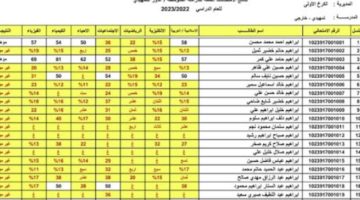 نتائج السادس الاعدادي الدور الثاني بالعراق 2024