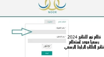 نتائج نظام نور 2024