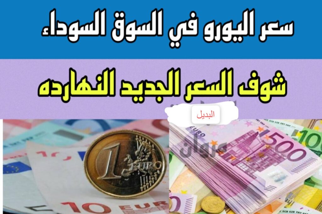 "كـم يسـاوي 1000 يور" سعر اليورو اليوم مقابل الجنيه المصري في البنـوك المصرية والسوق السوداء.. هل سيواصل الارتفاع!