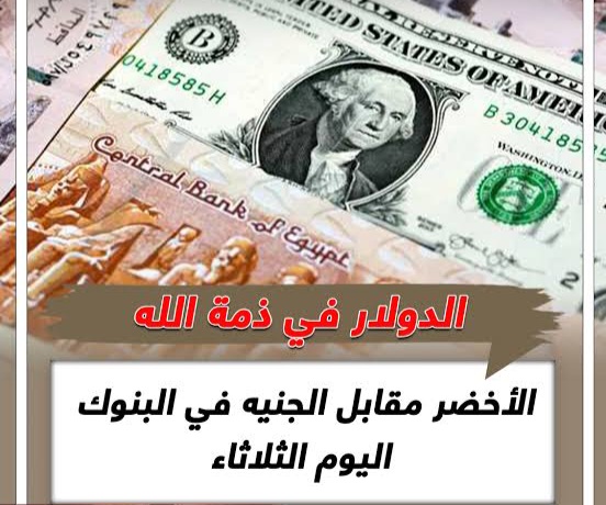 الدولار في ذمة الله.. أسعار الدولار أمام الجنيه المصري اليوم الثلاثاء 24 -12-2024 وهل يواصل سعر الدولار الارتفاع؟