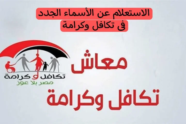 “شوف أسمك من هنا”.. خطوات الاستعلام عن الأسماء الجدد في تكافل وكرامة لشهر ديسمبر 2024 عبر موقع moss.gov.eg التابع لوزارة التضامن الاجتماعي