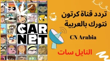 تردد قناة نتورك CN بالعربية 1